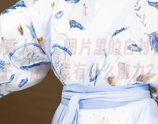 Xiuren秀人网 - 图片里的白衬衫，糯美子，你究竟有什么魔力？
